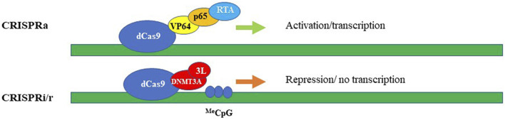 FIGURE 3