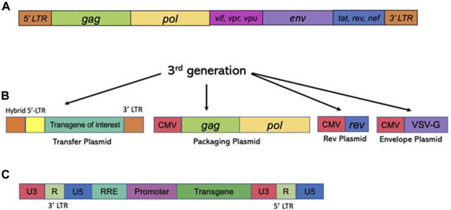 FIGURE 4