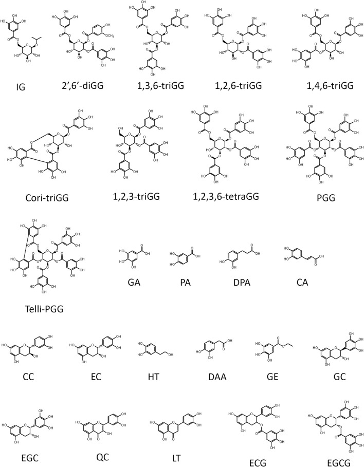 FIGURE 1