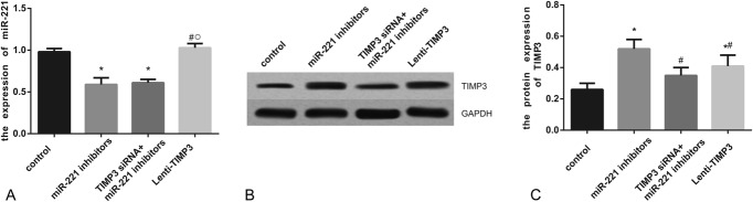 FIGURE 9.