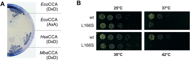 Figure 4.