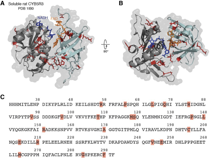 Figure 1