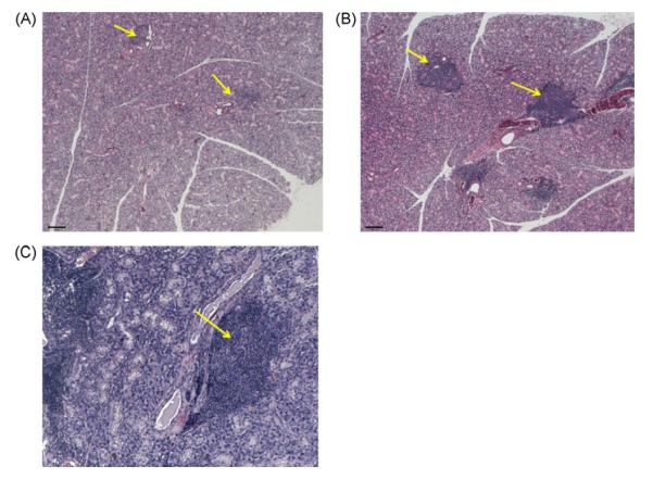 Fig. 8