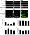 FIG 6