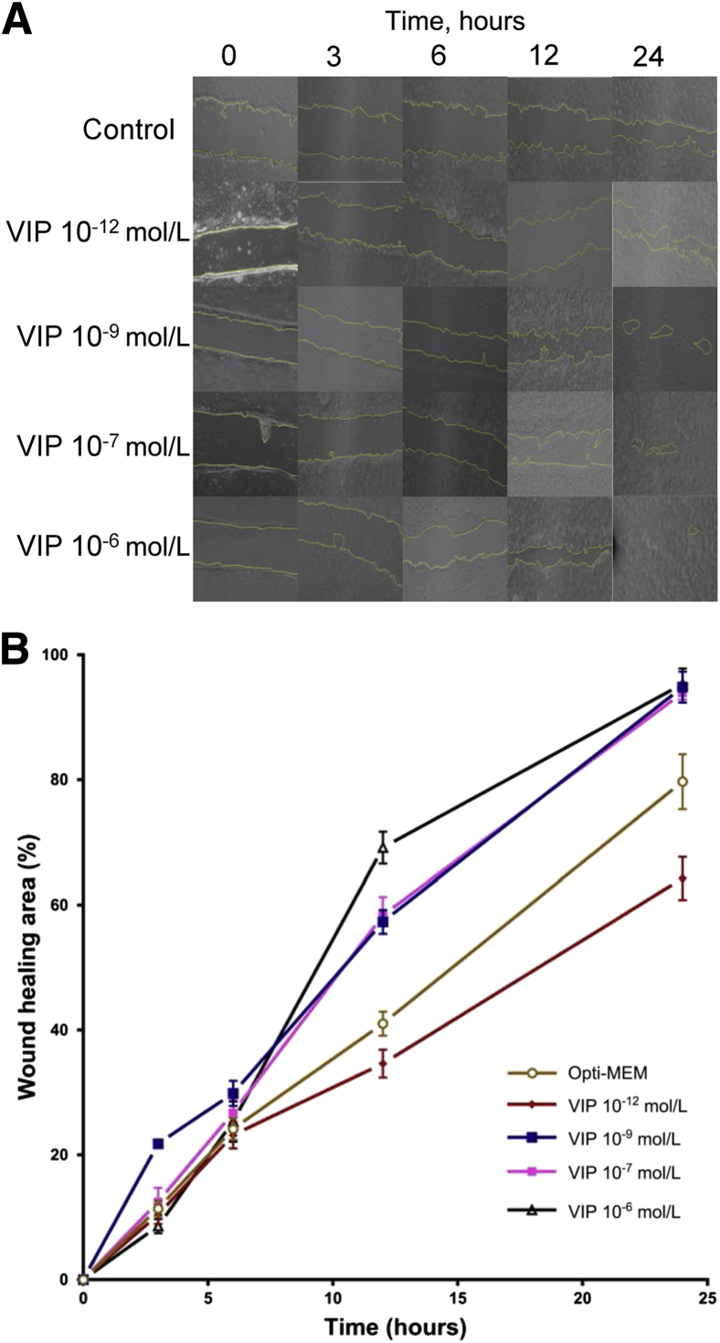 Figure 1