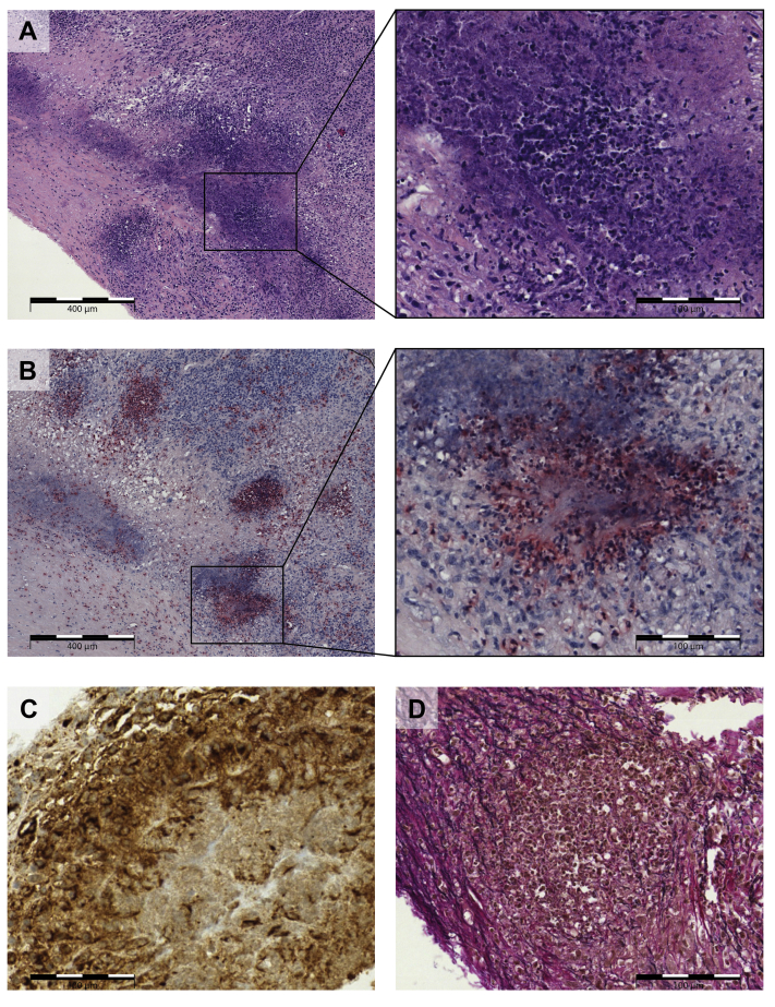 Figure 2