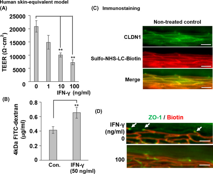 FIGURE 3