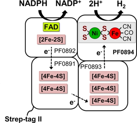 FIGURE 1.