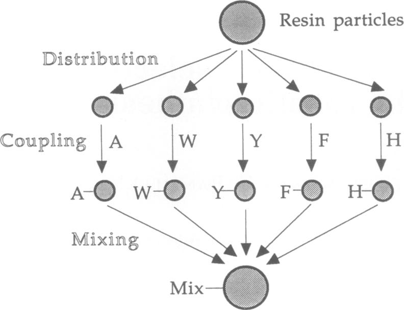 graphic file with name pnas01084-0296-a.jpg