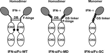 Fig. 1