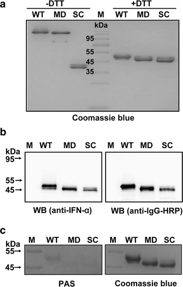 Fig. 3