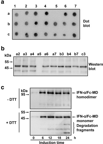 Fig. 2