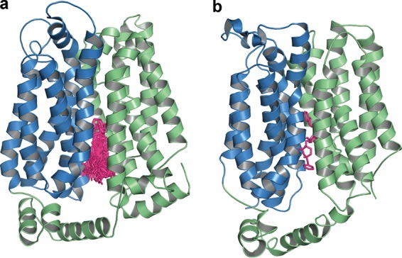 FIG 6