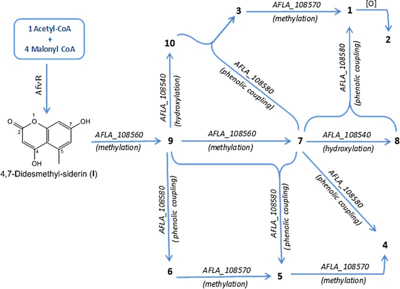 FIG 10