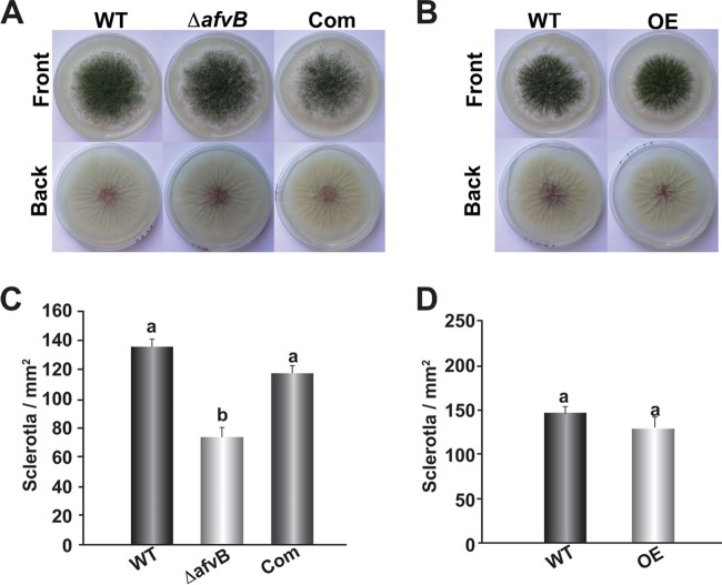 FIG 8