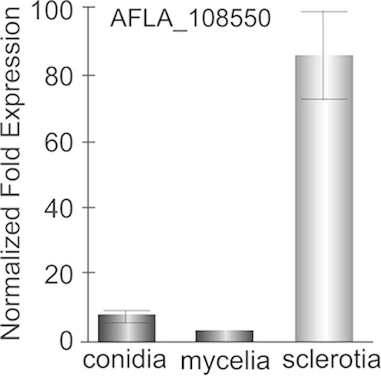 FIG 7