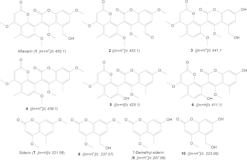 FIG 9