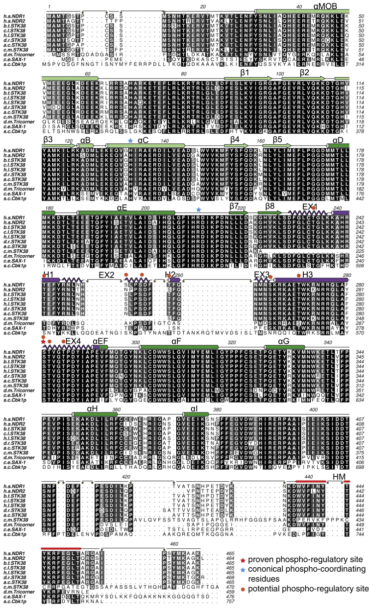 Figure 2