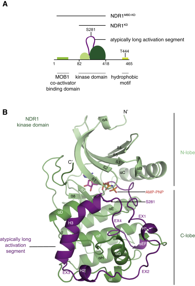 Figure 1