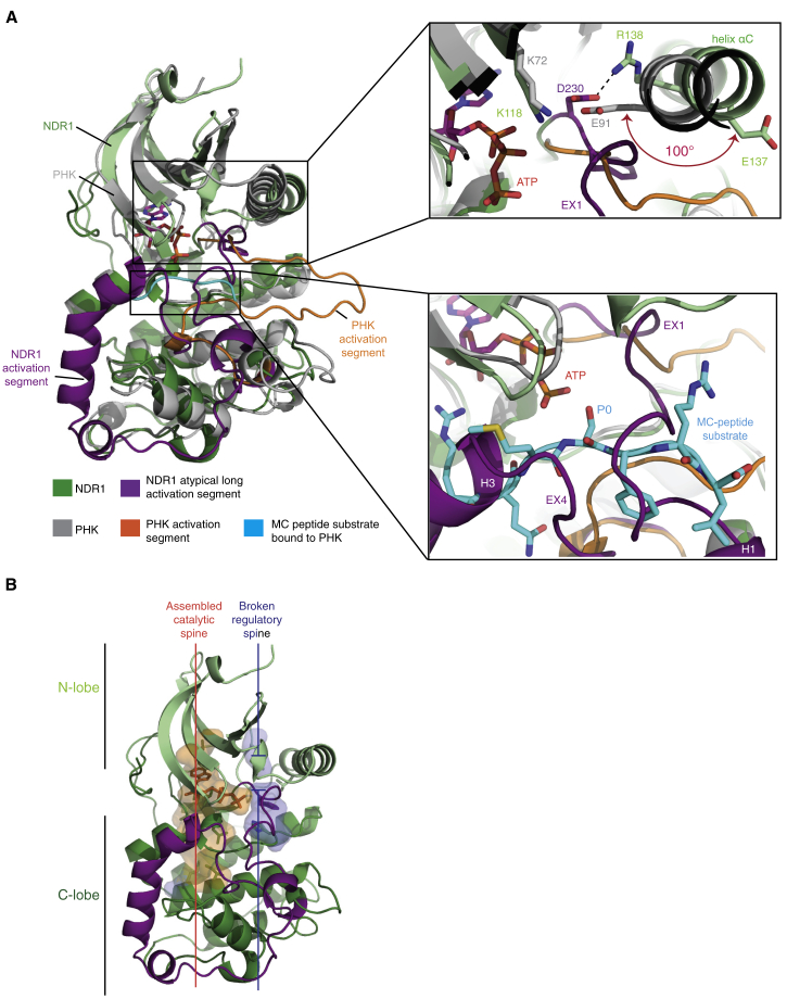 Figure 3