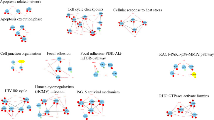 Fig 6