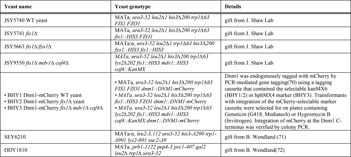 graphic file with name zbc042165271t002.jpg