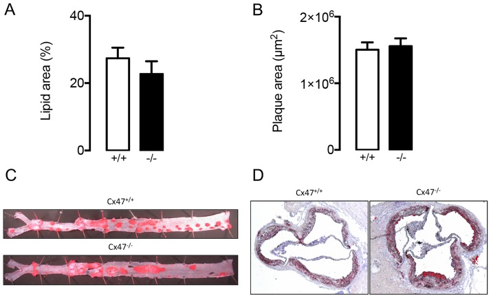 Fig 8