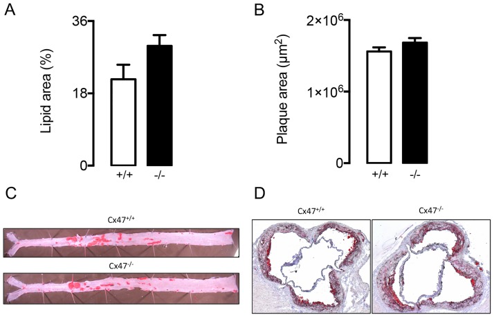 Fig 10