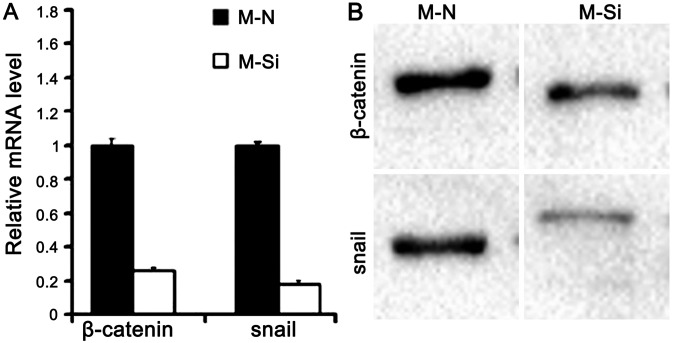 Figure 10.