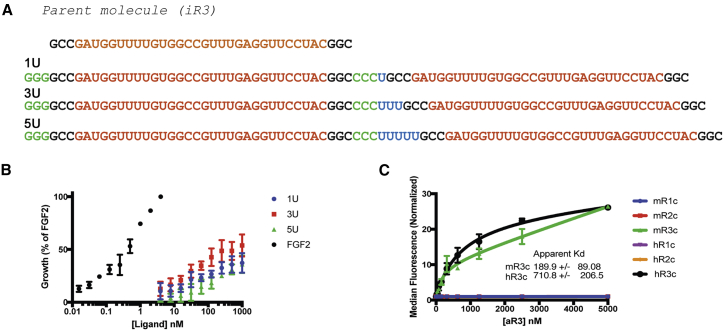 Figure 4