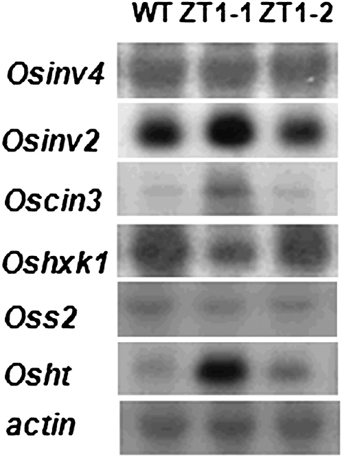 Figure 10.