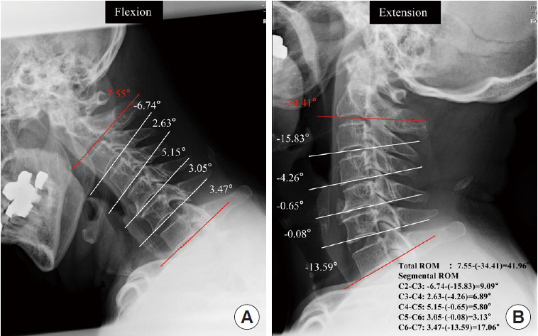 Fig. 4.