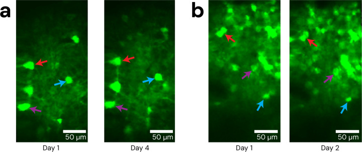 Figure 4: