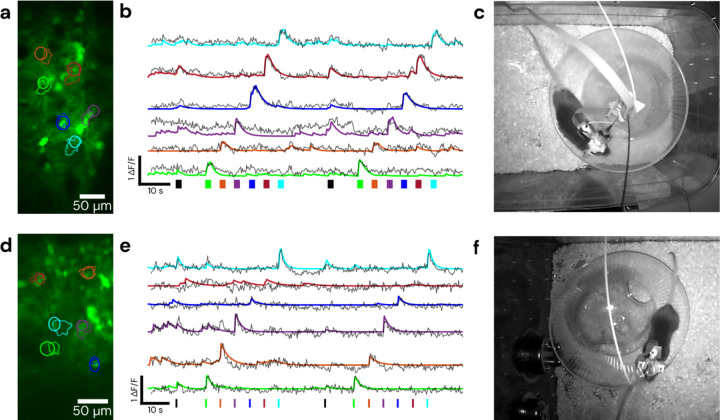 Figure 3: