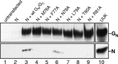 FIG. 6.