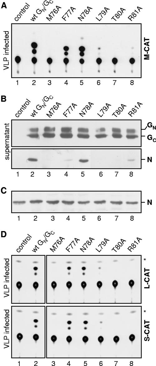 FIG. 4.