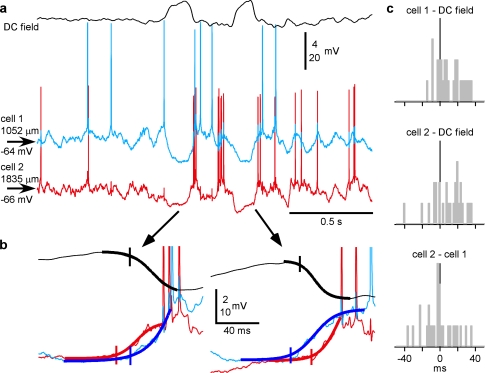 Figure 7.