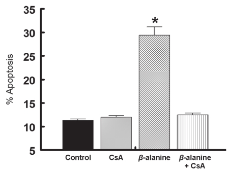 Figure 3)