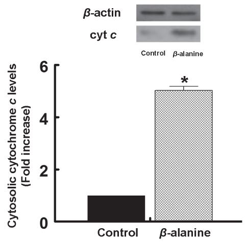 Figure 2)