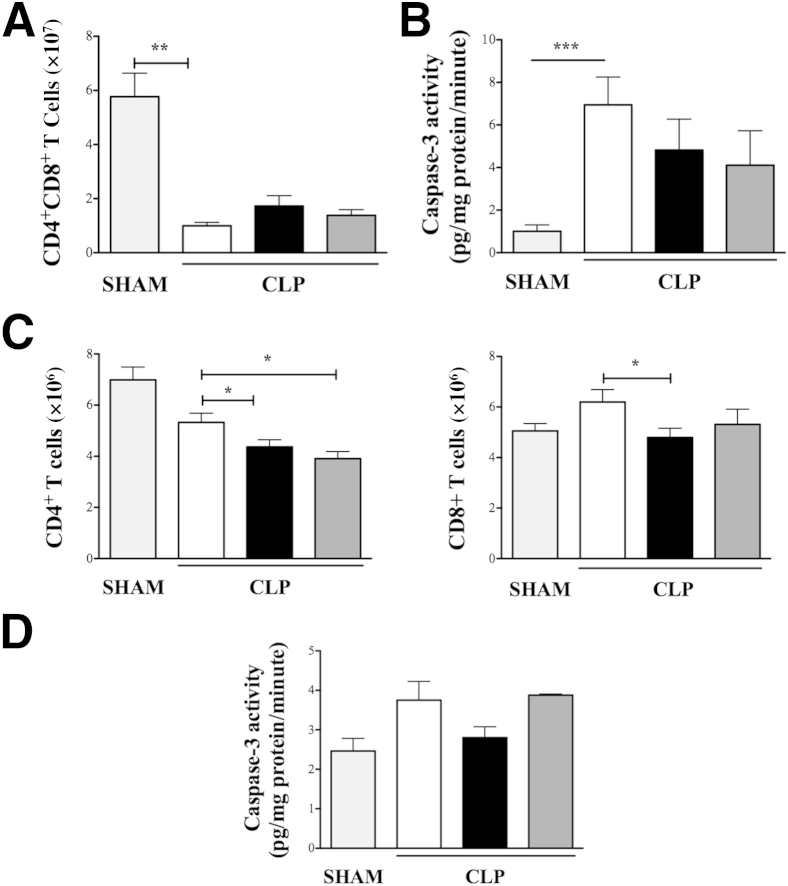 Figure 5