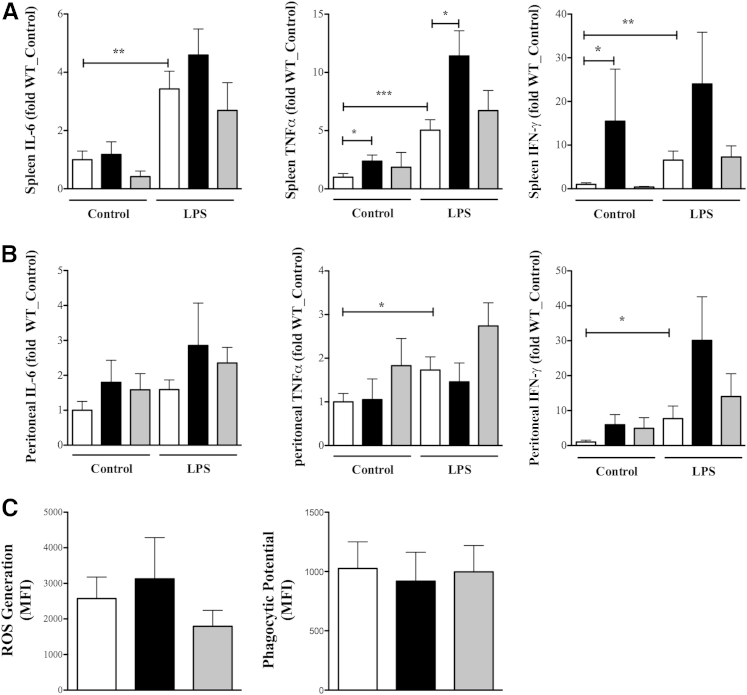 Figure 6