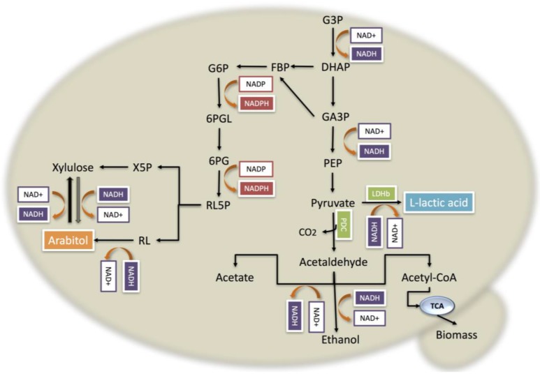 Figure 4