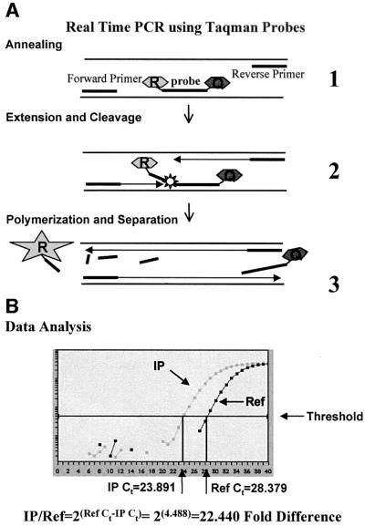 graphic file with name cde214f2.jpg