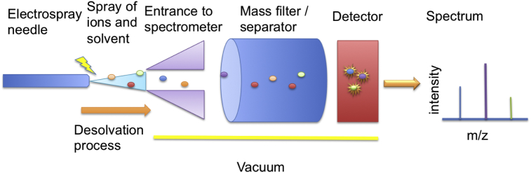 Fig. 3