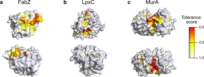 Fig. 6