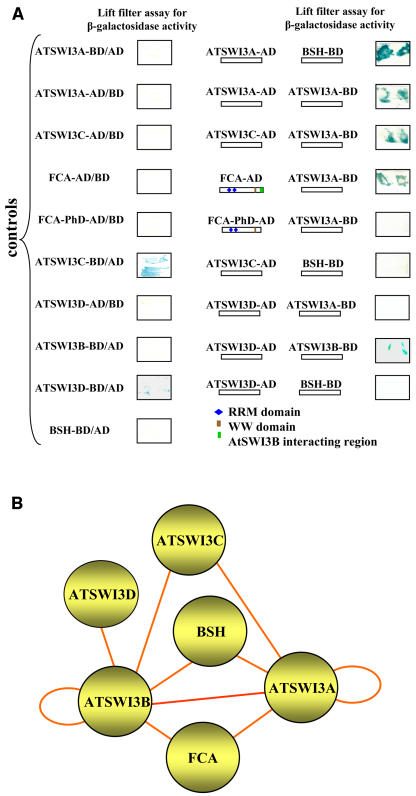 Figure 2.