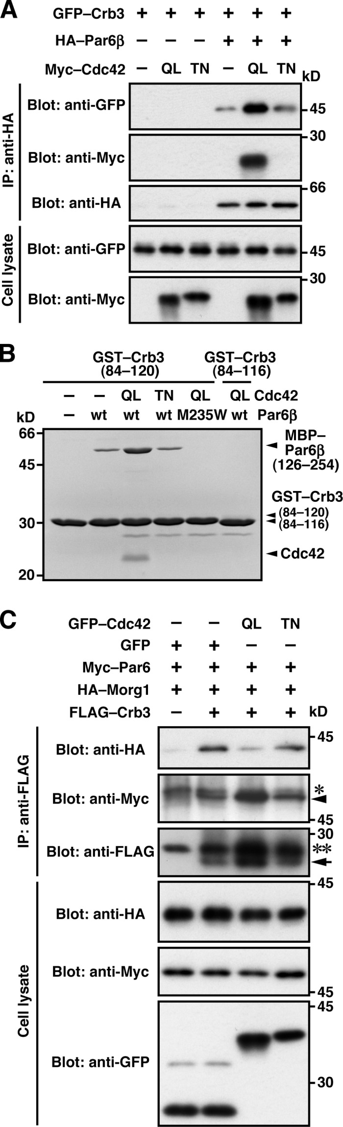 Figure 6.