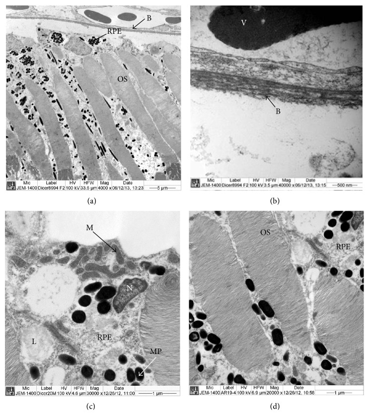 Figure 5