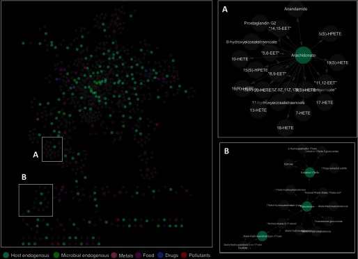 Linkage pathways of salivary metabolites classified by their source, namely, host endogenous, microbial endogenous, metals, food, drugs, and pollutants. Insets A and B are provided as magnified images in the same figure.