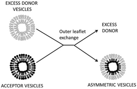 graphic file with name nihms-1064886-f0005.jpg